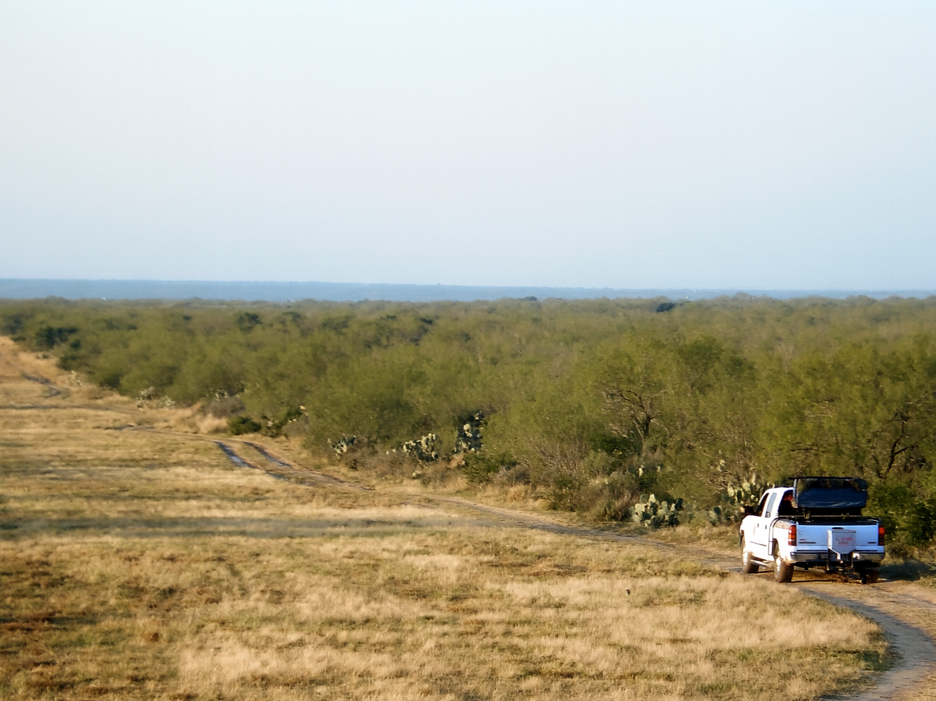 Ranch truck on a pipeline road cutting through the South Texas brush